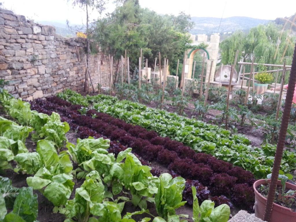 Las Bodegas De Claveria El Humo de Muro Exteriör bild